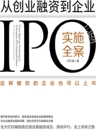 从创业融资到企业IPO实施全案:这样做你的企业也可以上市在线阅读