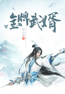 金牌武婿 cover