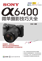 SONY α6400微单摄影技巧大全在线阅读