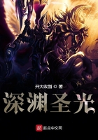 为混沌的异世界献上圣光在线阅读