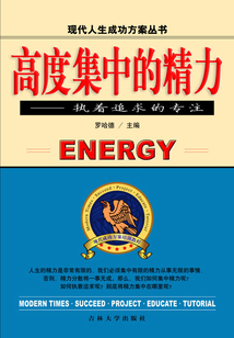 高度集中的精力：執著追求的專注（現代人生成功方案叢書）