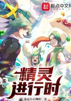 精灵进行时
