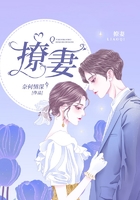撩妻在線閱讀