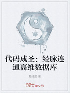 代码成圣:经脉连通高维数据库在线阅读