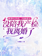 怀孕六个月,只因老公没陪我产检我离婚了在线阅读