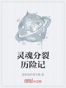 靈魂分裂歷險記