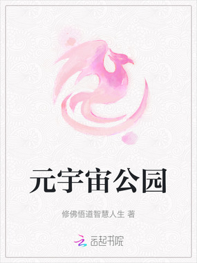 元宇宙公园在线阅读