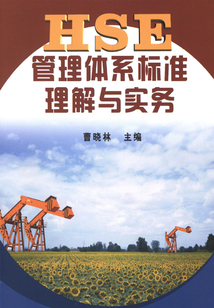 HSE管理体系标准理解与实务