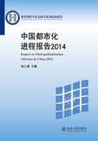 中国都市化进程报告2014