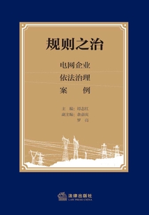 規則之治：電網企業依法治理案例