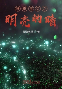 神奇寶貝之明亮的暗