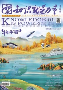知識就是力量（2021年第1期）