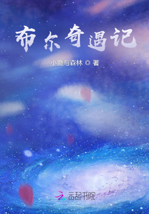 布爾奇遇記