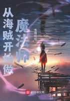 从海贼开始做魔法师