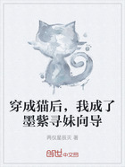 穿成猫后,我成了墨紫寻妹向导在线阅读