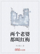 两个老婆都叫红梅在线阅读