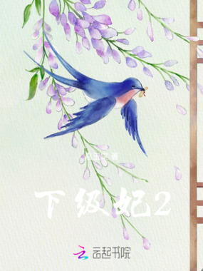 下级妃2在线阅读