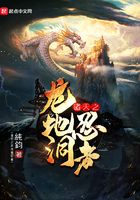 诸天之龙地洞忍者在线阅读