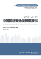 2018—2019年中国网络安全发展蓝皮书