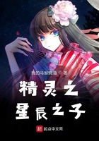 精灵之星辰之子在线阅读