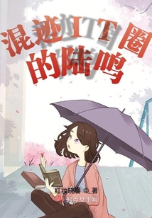 混跡IT圈的陸鳴