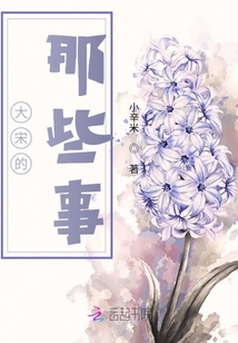 大宋的那些事