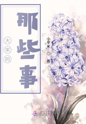 大宋的那些事在线阅读
