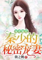 蚀骨蜜爱:秦少的秘密宠妻