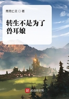 转生不是为了兽耳娘