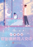 一不小心穿到病嬌同人文中在線閱讀
