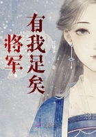 將軍有我足矣在線閱讀