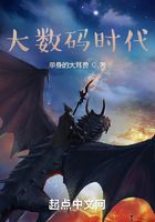 大数码时代