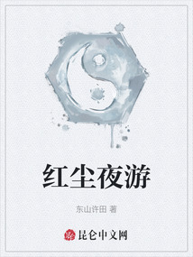紅塵夜游