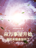 从万事屋开始:我的仙妻裂开了在线阅读