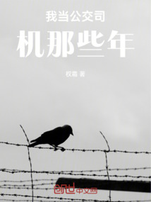 我當公交司機那些年