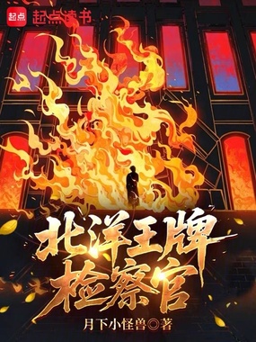 北洋王牌检察官在线阅读