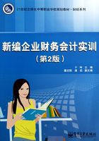 新编企业财务会计实训