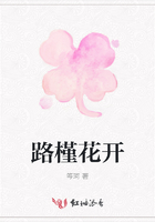 路槿花开在线阅读