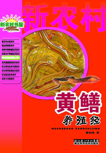 黃鱔養殖經