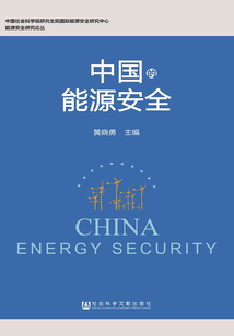 中国的能源安全(能源安全研究论丛)