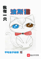 我有一只波斯貓在線閱讀