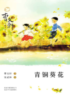 曹文轩小说阅读与鉴赏:青铜葵花在线阅读