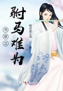 書穿之駙馬難為
