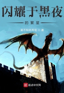 閃耀于黑夜的繁星