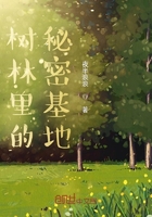 樹林里的秘密基地在線閱讀