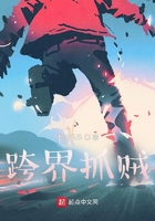 跨界抓賊在線閱讀