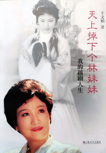 天上掉下個林妹妹：我的越劇人生