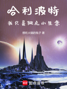 哈利波特:我只是做点小生意 cover