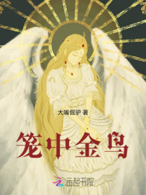 籠中金鳥