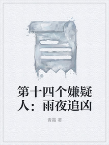 第十四個嫌疑人：雨夜追兇